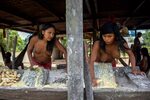 Waiapi Tribe Related Keywords & Suggestions - Waiapi Tribe L